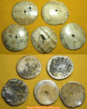 Grandes perles Tibétaines plates en conque "du pays des Nâgas"