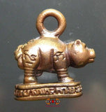 Amulette cochon sacré Paya Moo Thong Mahalap - Très Vénérable LP Pern.