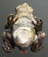 Amulette Thai crapaud Paya Kang Kop. magiedubouddha