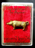 Amulette Thai de fortune Paya Moo Pah Kopgeow - Très Vénérable LP Mee.
