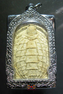 Amulette de longévité tortue Paya Taoreuam - Très Vénérable LP Liew. magiedubouddha