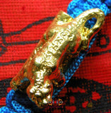 Bracelet tigre bénit - Wat Nok.