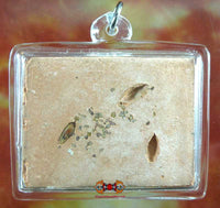 Amulette Jonque - Protection des voyageurs magiedubouddha