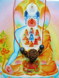 Amulette rudraksha du bouddha de médecine.