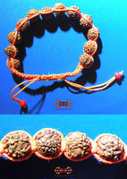 Bracelet orange bénit de Shiva composé de 12 graines sacrées Rudraksha.