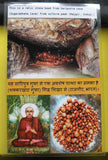 Carte photo des reliques de sariputra.