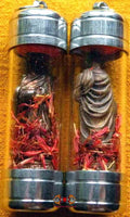 Amulette Thai Roop Lor - Très Vénérable Luangta Mahabua. magiedubouddha