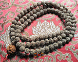 Grand chapelet rudraksha. 