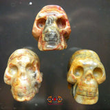 Crâne humain taillé dans du bois fossile.