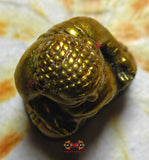 Amulette Thai du Bouddha doré de fortune Phra Sanghajai - Très Vénérable LP Dooh.