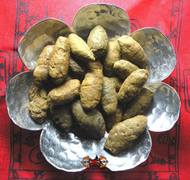 Fossile sacré Thaï Hin Dakder Mahaniyom - Rituel magique bénédiction parfum. La Magie du Bouddha.