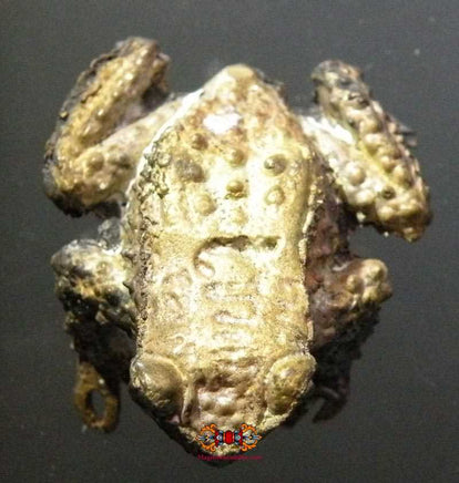 Amulette Thai crapaud Paya Kang Kop. magiedubouddha