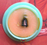 Crème magique thai de charme Kee Phung Mahasané par le Vénérable Phra Ajarn Sakorn.