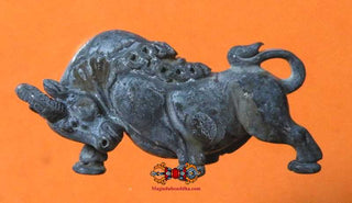 Puissante amulette Thai protectrice Kwai Tanoo - Très Vénérable Kruba Nachin. La Magie du Bouddha.
