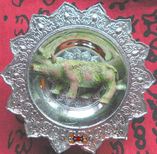 Amulette Thai cochon sacré Paya Moo - Très Vénérable LP Kassem. magiedubouddha