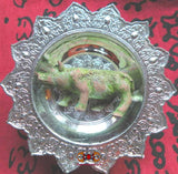 Amulette Thai cochon sacré Paya Moo - Très Vénérable LP Kassem.