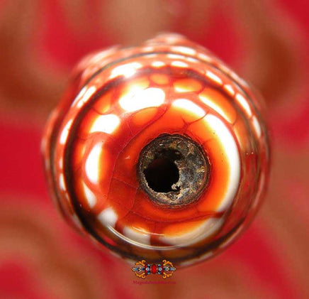 Nalo Dzi Tibétain à 5 yeux. magiedubouddha