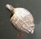 Amulette Thai tortue ancienne - Pour la longévité.