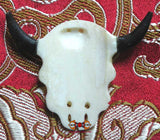 Crâne de yack du tibet.