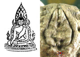 Graine sacrée aux cinq Bouddha - Met Phra Jao Ah Phra Hong