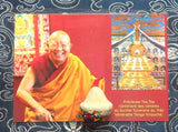 Précieuses Tsa Tsa reliques du Très Vénérable Lama Tenga Rinpoché.