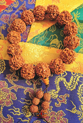 Mala de poignet en grosses rudraksha rouges à 5 facettes. La Magie du Bouddha.