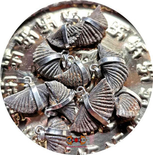 Pendentifs Shaligram (fossiles sacrés de Vishnou). La Magie du Bouddha.
