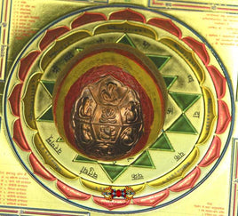 Belles graines de bétel sacrées Vighnaharta Supari de Ganesh. La Magie du Bouddha.