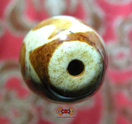 Gros Nalo Dzi Tibétain en céramique. magiedubouddha