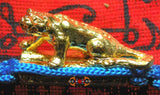 Tigre doré thai amulette.