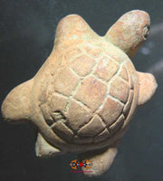 Figurine sacrée Thai tortue Paya Taoreuam en terre cuite.