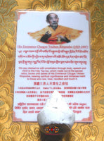Tsa Tsa reliques de Son Eminence Chogye Trichen Rinpoché.